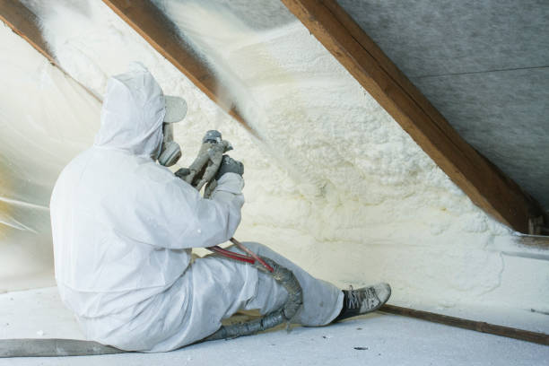 Lapeer, MI Insulation Removal & Installation Company